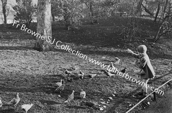 ST STEPHEN'S GREEN GIRL FEEDING PIGEONS